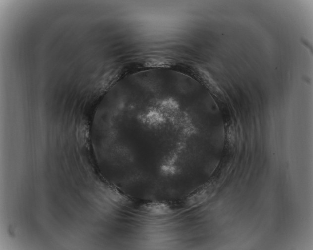 X0000091730322200708311208