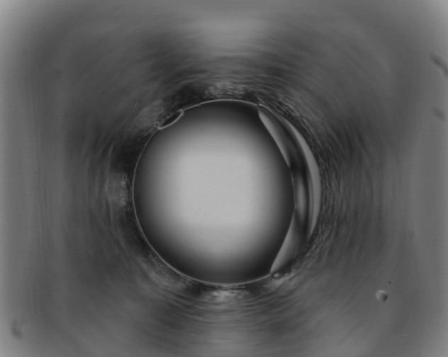 X0000091730323200708311208