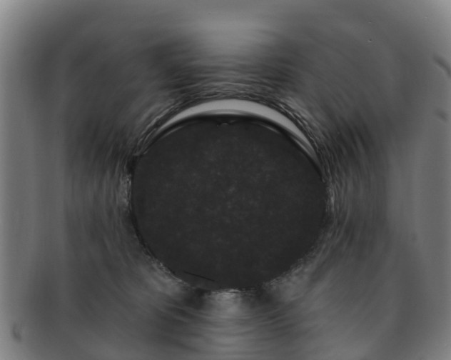 X0000091730325200708311208