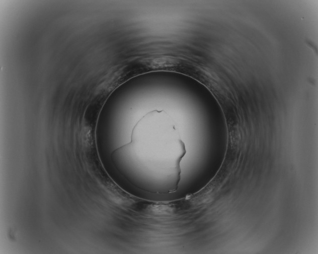 X0000091730327200708311208