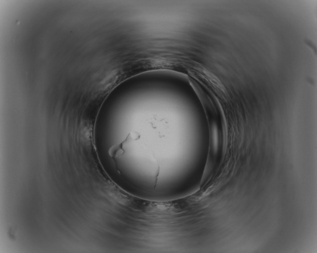 X0000091730329200708311208