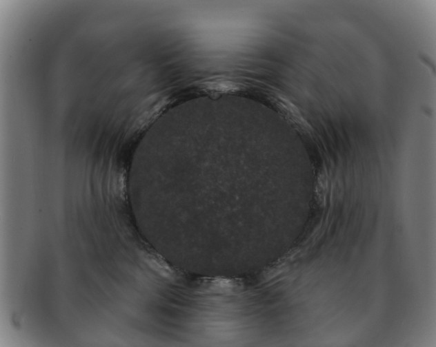 X0000091730330200708311208