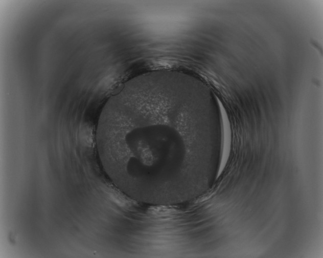 X0000091730331200708311208