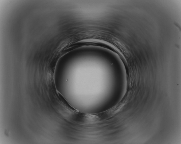 X0000091730333200708311208