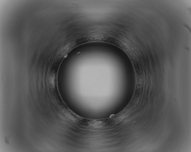 X0000091730334200708311208