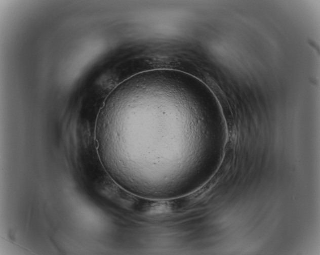 X0000091730335200708311208