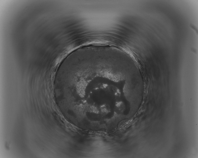 X0000091730337200708311207