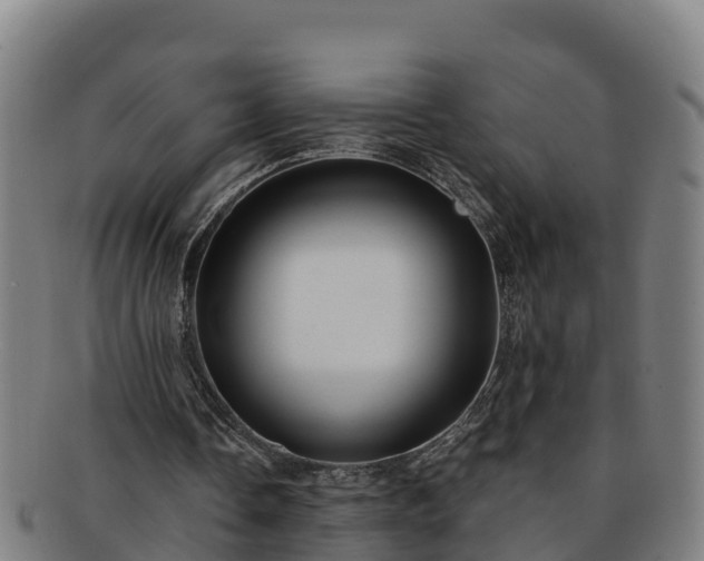 X0000091730338200708311207