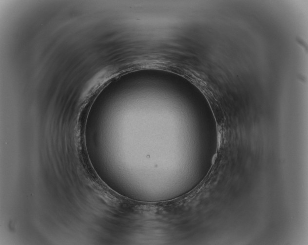 X0000091730339200708311207