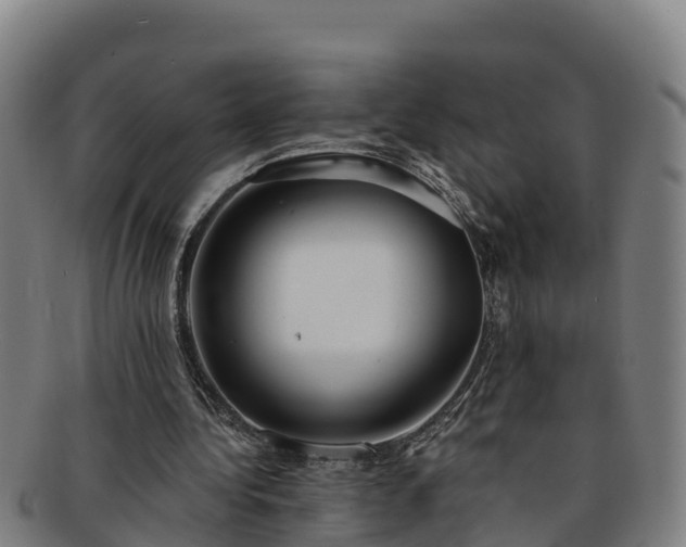 X0000091730340200708311207