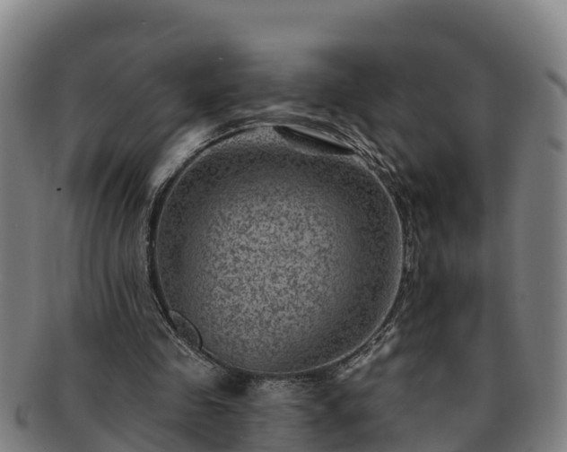 X0000091730341200708311207