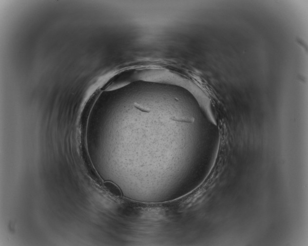 X0000091730342200708311207