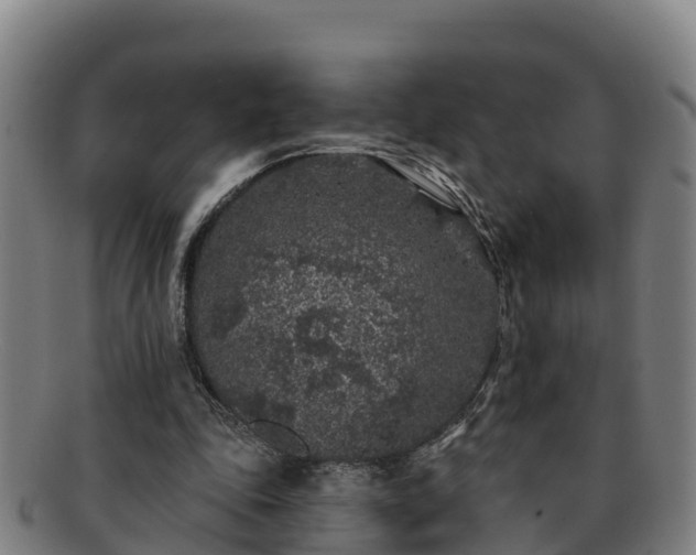 X0000091730343200708311207