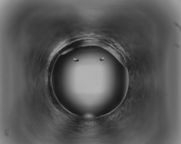 X0000091730344200708311207