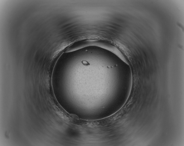 X0000091730345200708311207