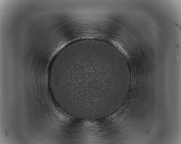 X0000091730346200708311207