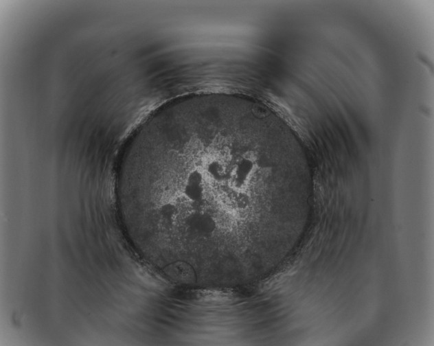 X0000091730347200708311207