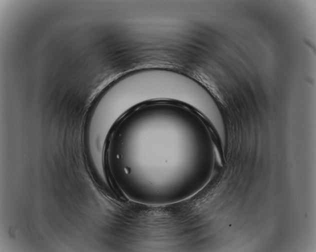 X0000091730348200708311207