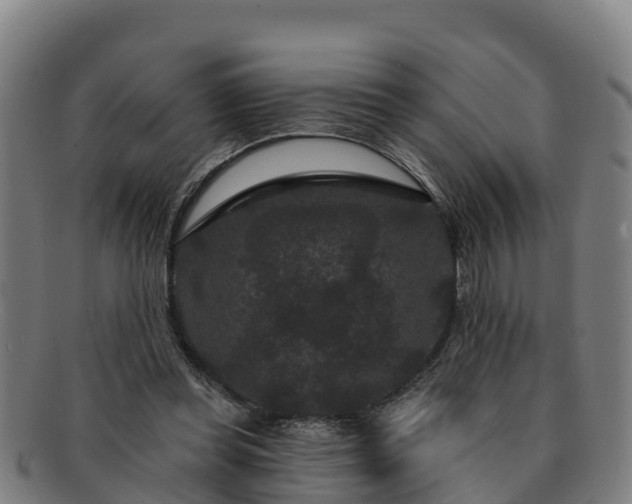 X0000091730349200708311207