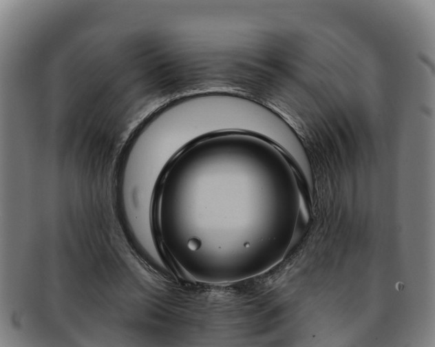 X0000091730350200708311207