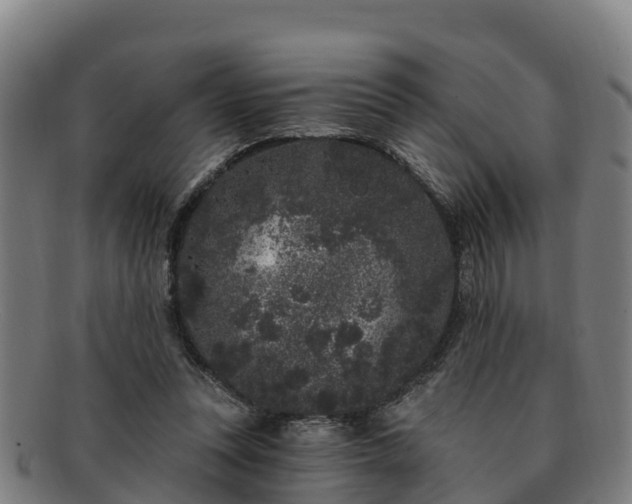 X0000091730351200708311207