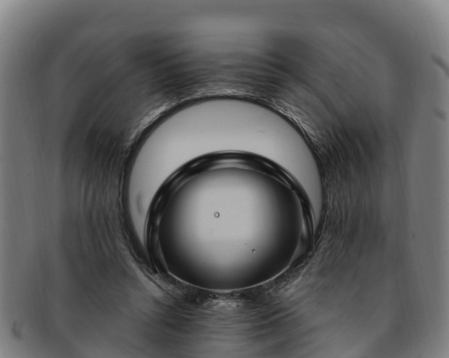 X0000091730352200708311207