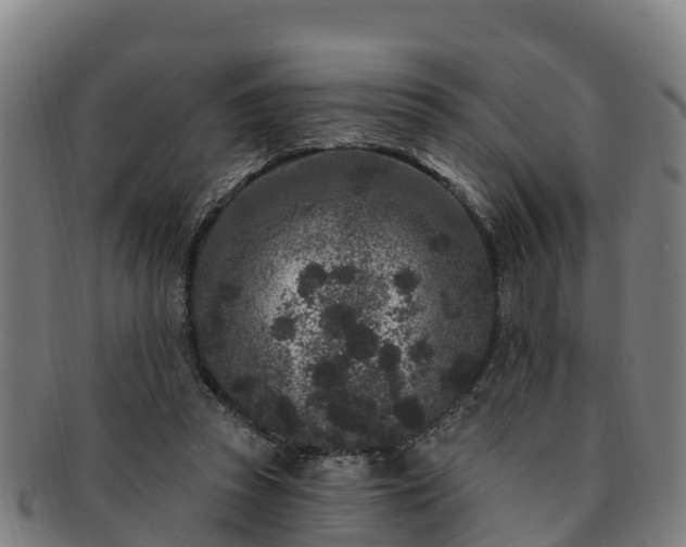 X0000091730353200708311207