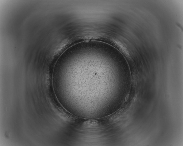 X0000091730354200708311207