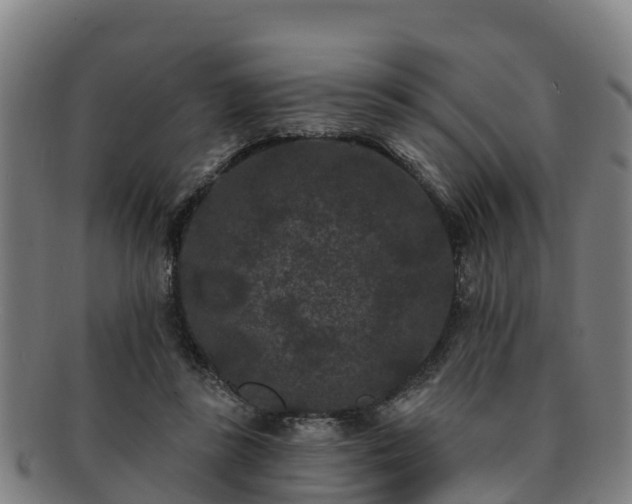 X0000091730355200708311207