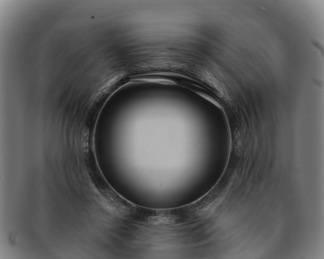 X0000091730356200708311207