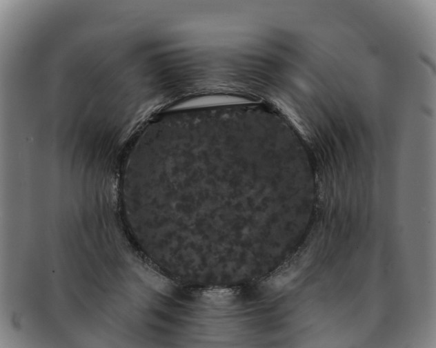 X0000091730357200708311207