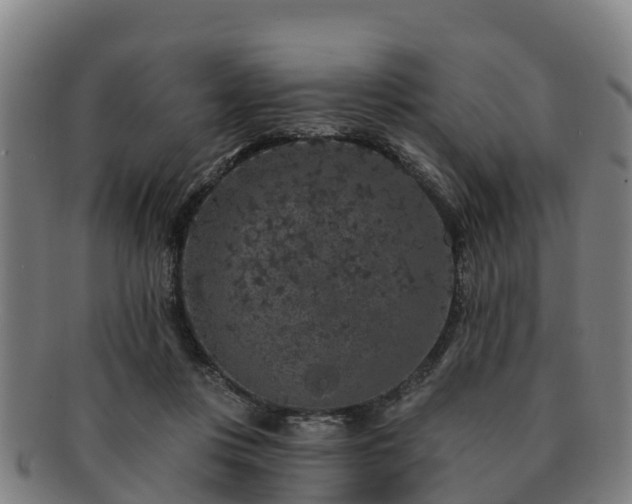 X0000091730359200708311207