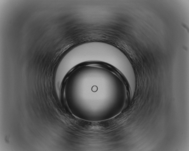 X0000091730360200708311207