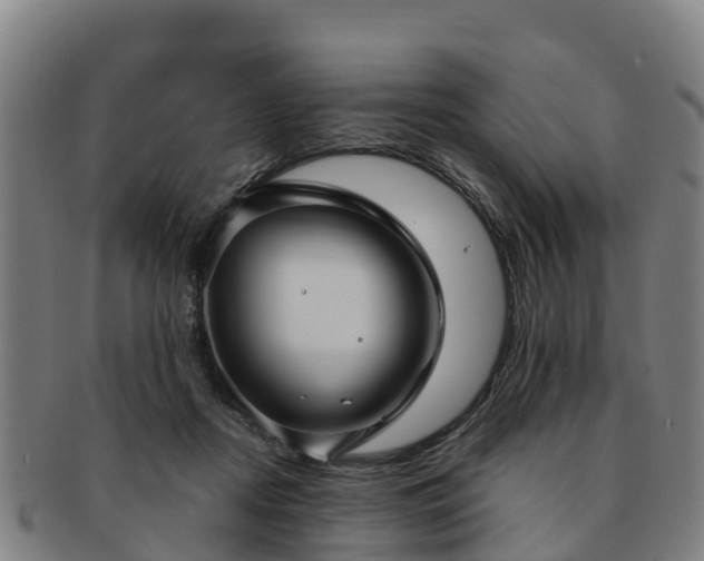 X0000091730362200708311207