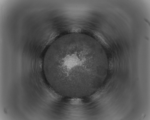 X0000091730363200708311207