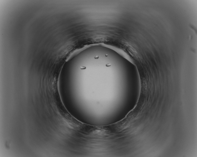 X0000091730364200708311207