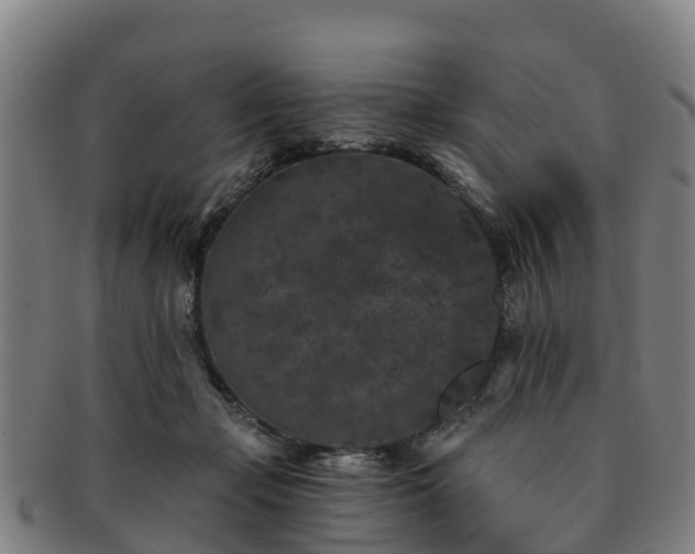 X0000091730365200708311207