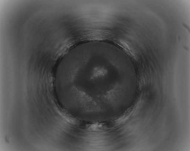 X0000091730366200708311207