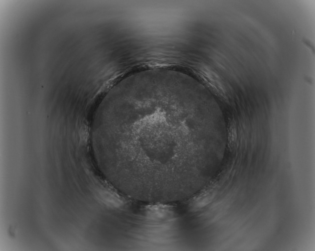 X0000091730367200708311207