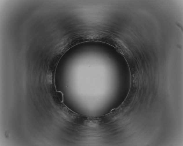 X0000091730368200708311207