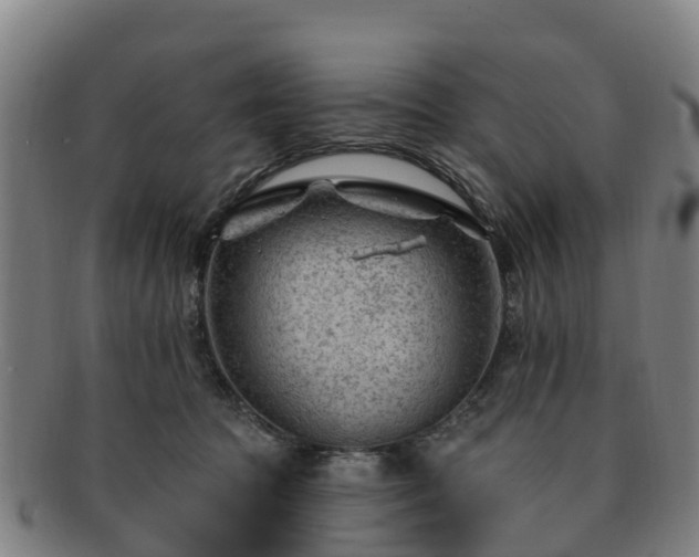 X0000091730369200708311207