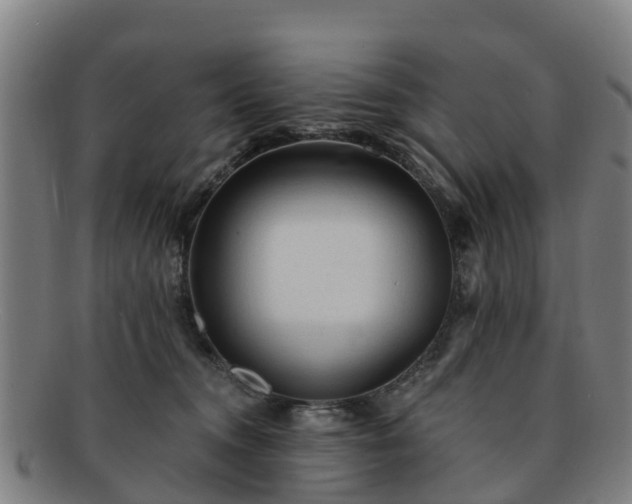 X0000091730372200708311207