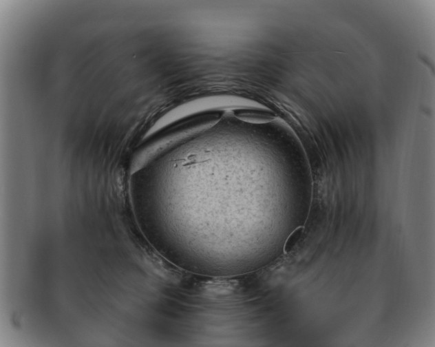 X0000091730373200708311208