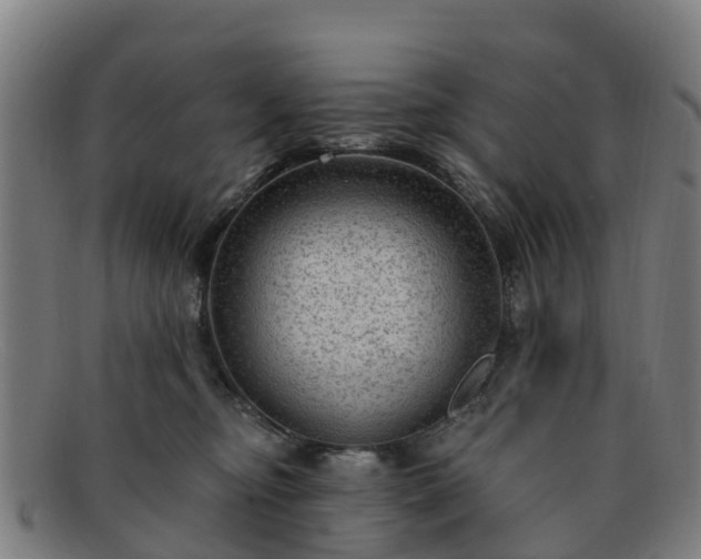 X0000091730374200708311208