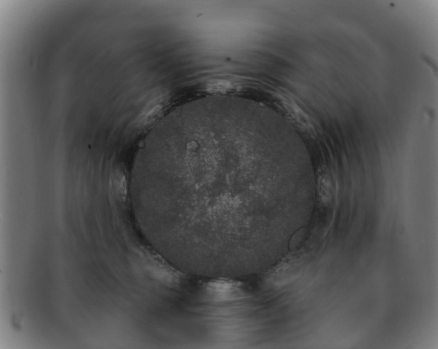 X0000091730375200708311208