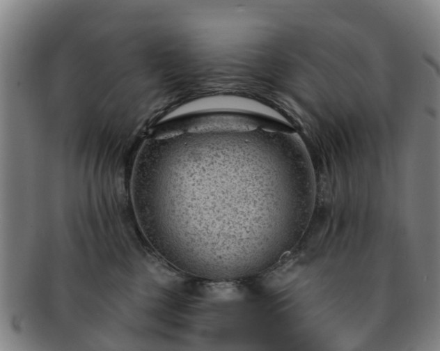 X0000091730377200708311208