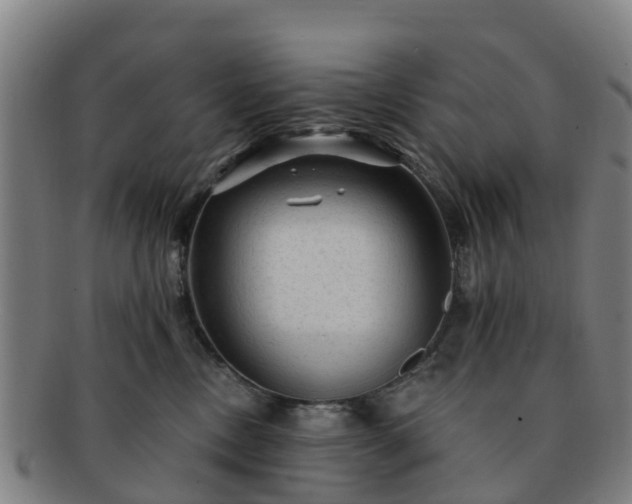 X0000091730378200708311208