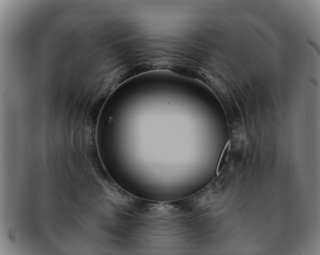 X0000091730379200708311208