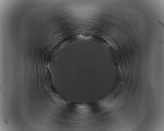 X0000091730380200708311208