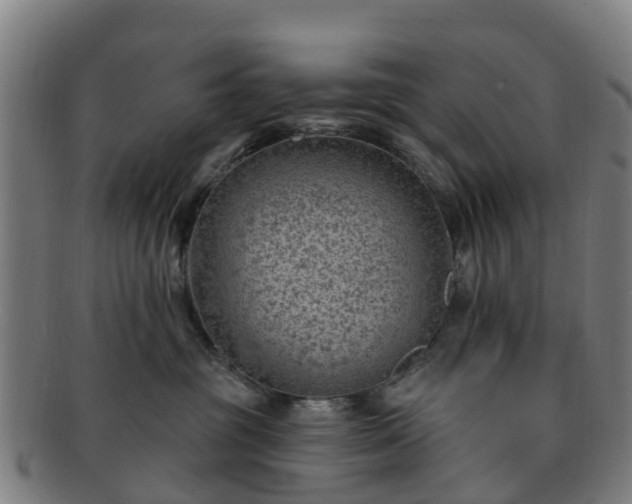 X0000091730381200708311208